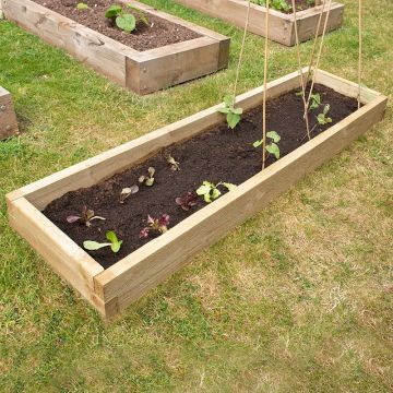Forest Caledonian Long Raised Bed 1'6 x 6' (0.45m x 1.8m)